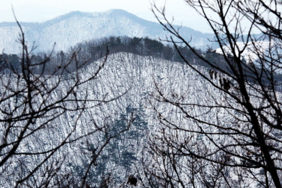 겨울 칠갑산의 풍경2