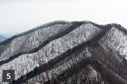 정상에서 보이는 겨울 칠갑산의 풍경2